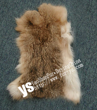 Rabbit Skin