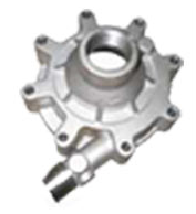 Stainless Steel Casting Pump