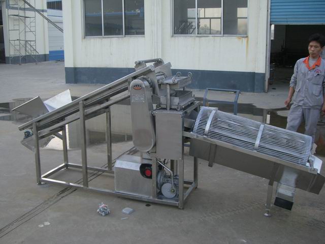 Fruit dicing machine