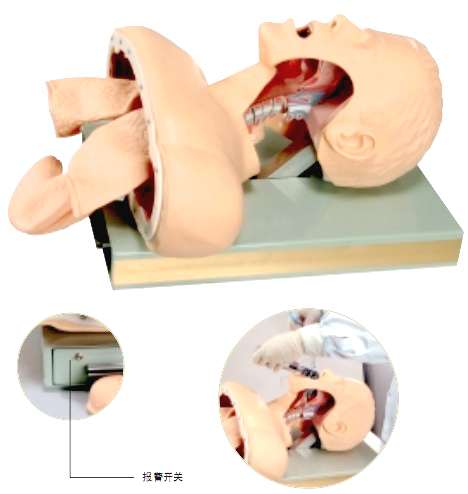 AIRWAY INTUBATION SIMULATOR