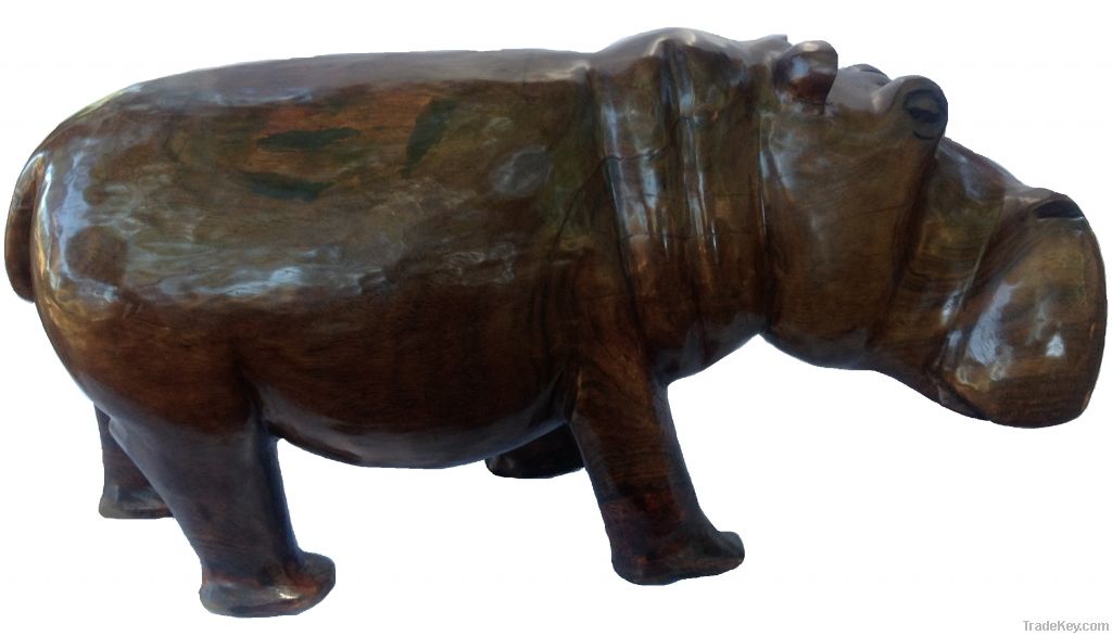 River Hippopotamus