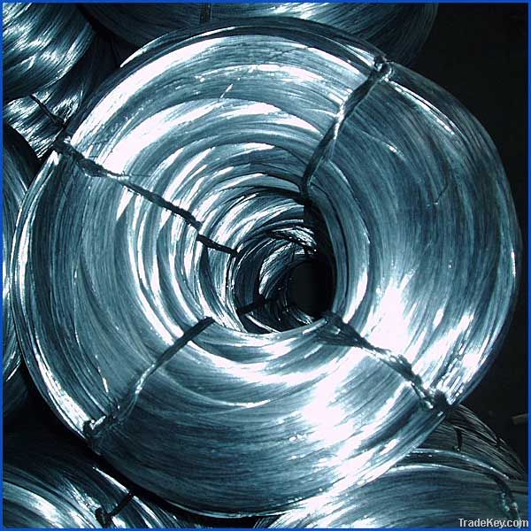 Electro Galvanized Wire