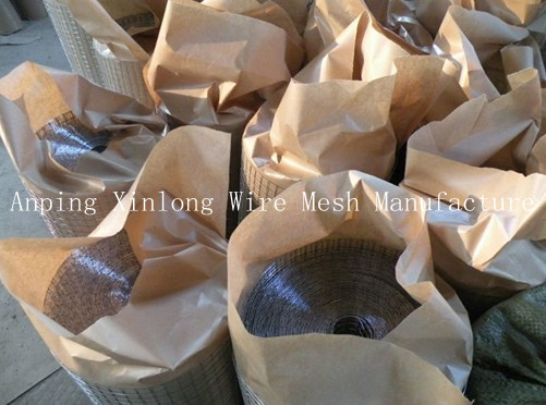 Galvanized Welded Wire Mesh (factory)