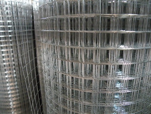 Galvanized Welded Wire Mesh