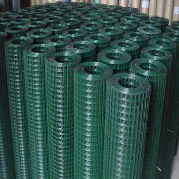 Galvanized Welded Wire Mesh