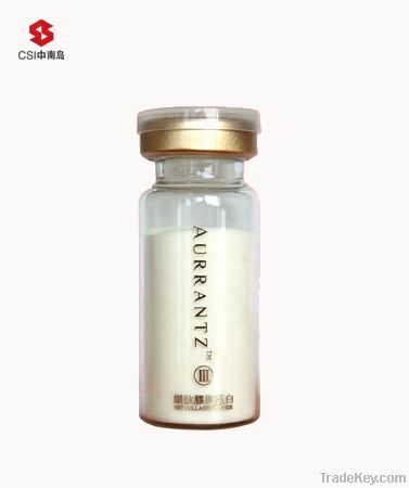 Collagen Net Peptide Powder