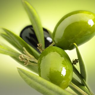 Olive oil