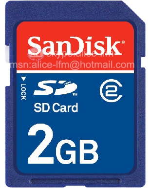 Memory Cards