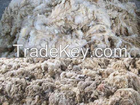 Greasy Raw Wool