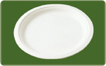 biodegradable sugarcane tableware