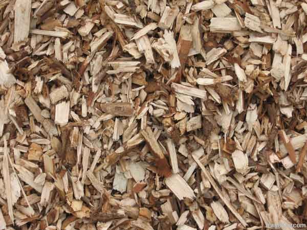 Woodchip for making paper