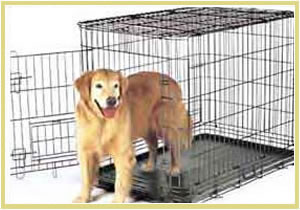 Pet Cage