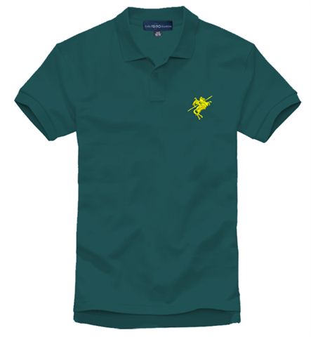 Top quality polo T-shirt ( at very reasonable price)