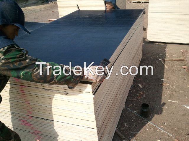  Black Or Brown Or Red Film Faced Plywood, Finger Joint Core Plywood, Construction Cheap Finger Joint Core Plywood