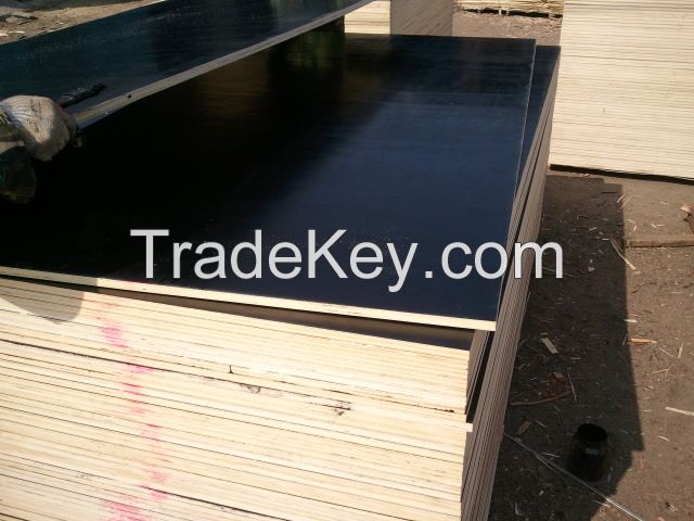 Film Faced Black Plywood with coating