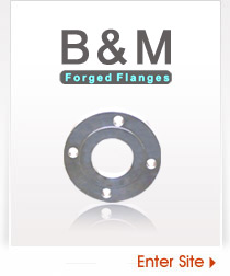 Forged Flanges