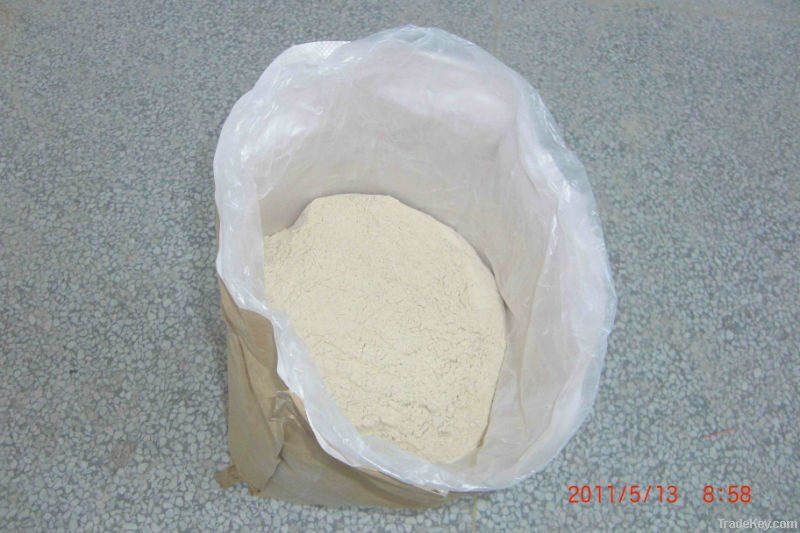 Wheat Gluten Protein