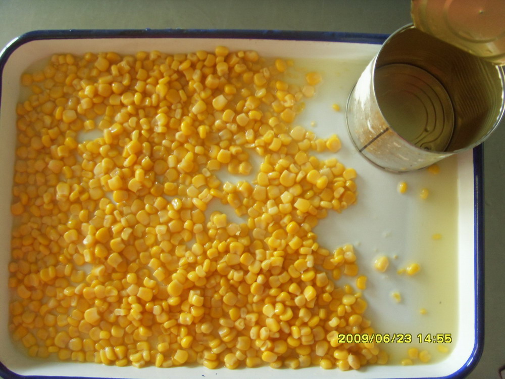 Canned Sweet Corn Kernel