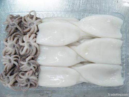 Frozen-Squid-Tube-and-Tentalce.