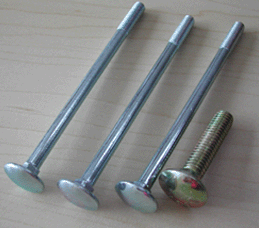 Carriage Bolt