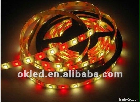 Newest 24V 5050 RGB+W Four color Flexible led strip