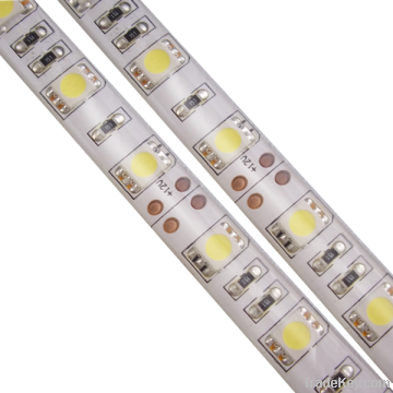 60LED per meter 12VDC LED strips