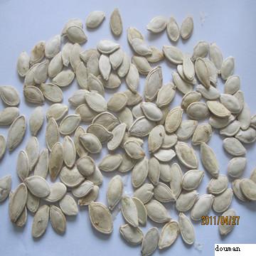 Shine skin  pumpkin seeds  grade A