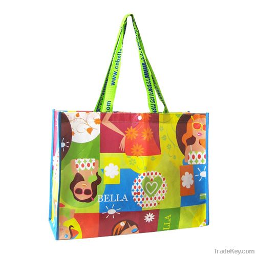 Non Woven Shopping Bag