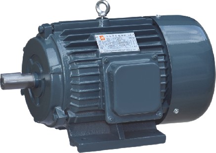 Y Series Electric Motor