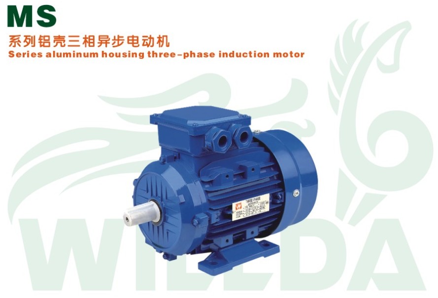 MS Series aluminum housing three phase induction motor