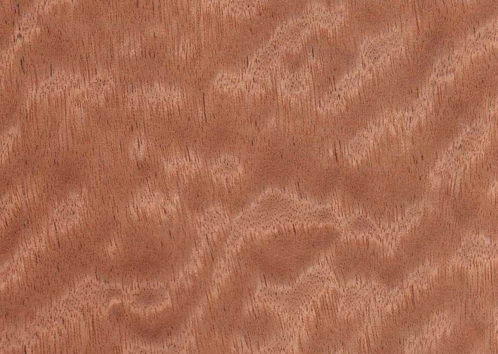 Maghony/Mahogany Veneer