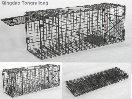 Collapsible live animal trap