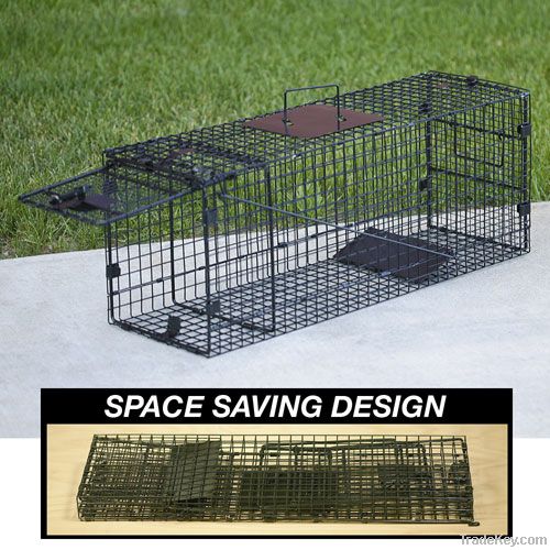 Folding feral cat trap