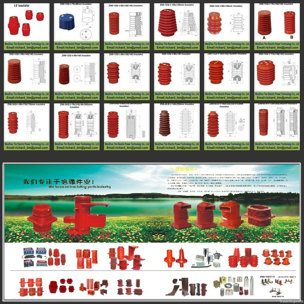 Epoxy resin insulator