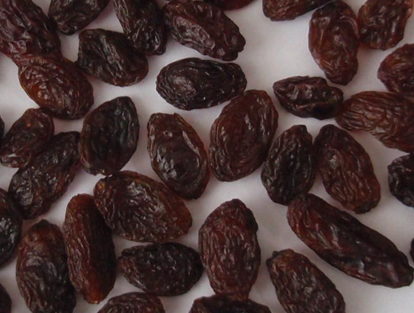 raisin