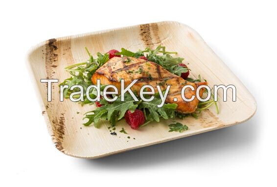 Disposable Palm Leaf Plates