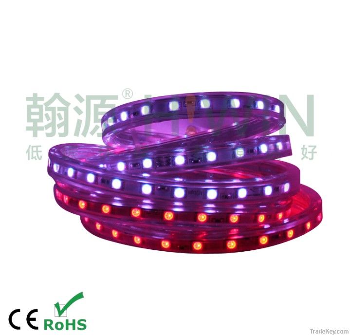 RGB SMD LED STRIP 5050 220V