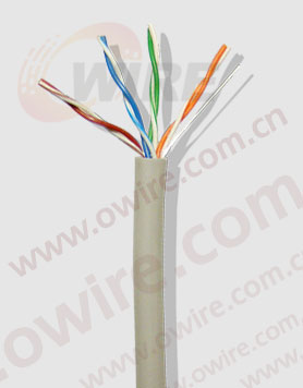 Cat5e UTP Network Cable