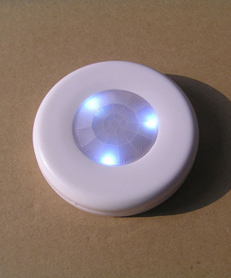 LED Induction Lamp