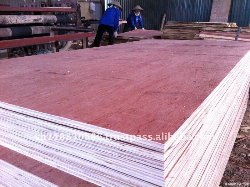 Plywood for furniture and packing grade