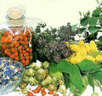 herbs dried