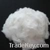 Polyester staple fiber