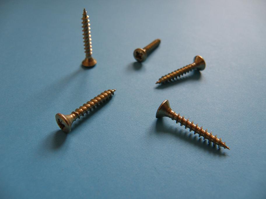 Self Tapping Screw