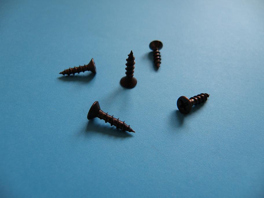 Self Tapping Screw