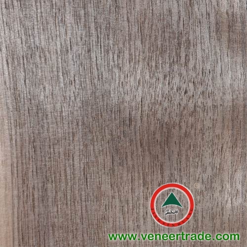 American Walnut Veneer