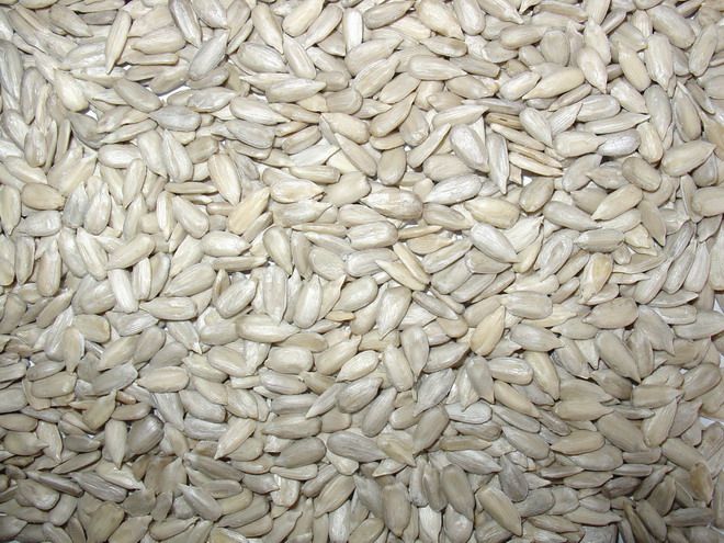 Higher grade confectionery sunflower kernels 2013 crop