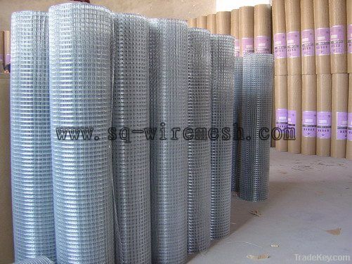 Galvanized Welded Wire Mesh