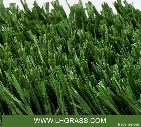 Soccer Grass