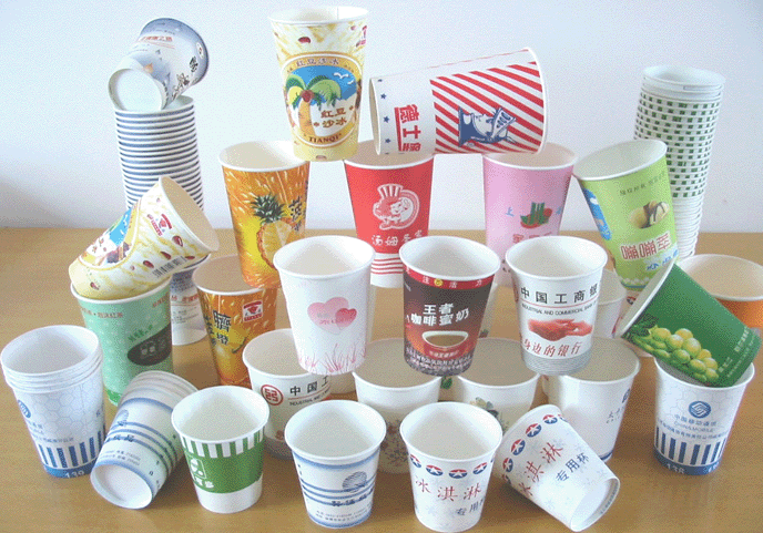 paper cup