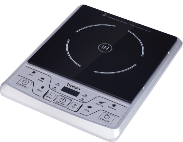 Magnetic Induction Cooker